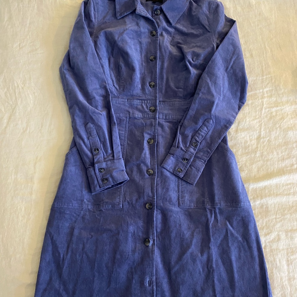 Quince Deep Blue Long Sleeve Dress